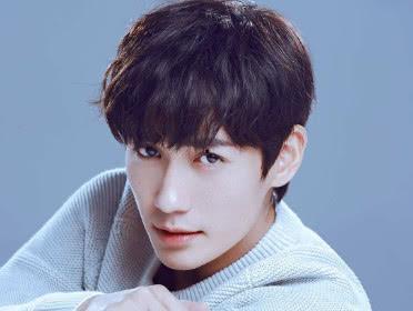 明星zyl,璀璨星途,闪耀娱乐圈的璀璨星辰