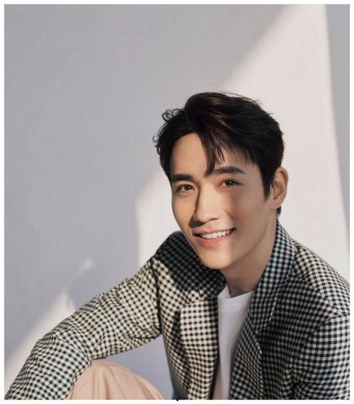 明星zyl,璀璨星途,闪耀娱乐圈的璀璨星辰