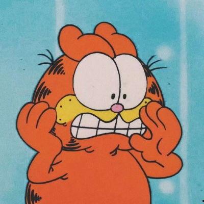 动画片加菲猫图片,慵懒生活的欢乐日常