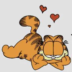 动画片加菲猫图片,慵懒生活的欢乐日常