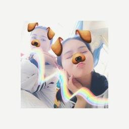 柚子猫照片,萌态可掬的治愈系萌宠瞬间