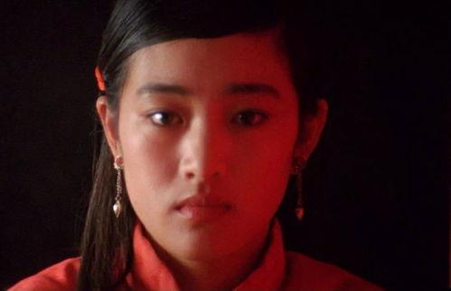 红高粱电影网,探寻中国乡土情怀的视听盛宴