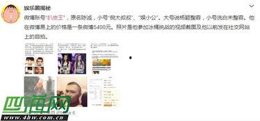 娱乐圈扒皮王,揭秘明星背后的真相与秘密