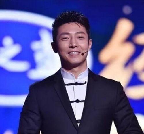 撒贝宁老婆资料,揭秘才子与贤妻的幸福生活